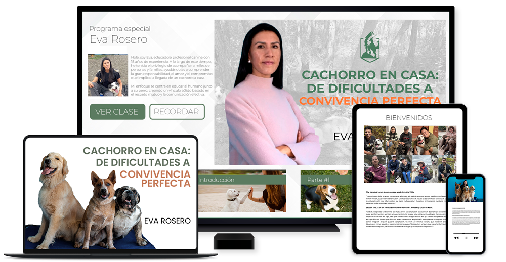 CACHORRO EN CASA: DE DIFICULTADES A CONVIVENCIA PERFECTA